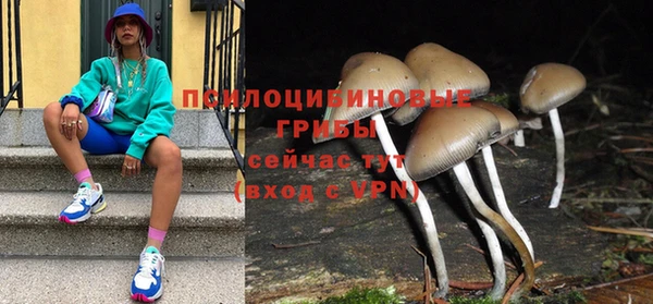 гидра Белокуриха