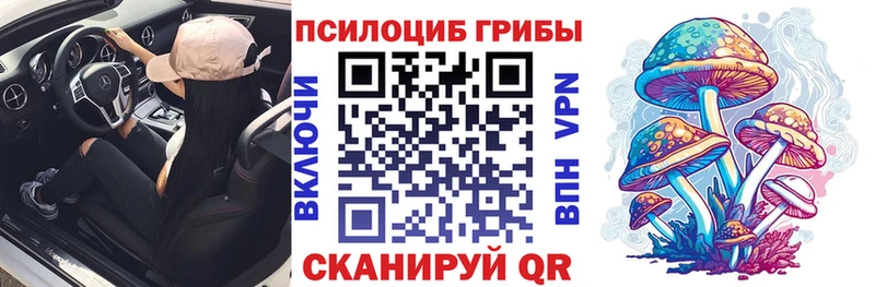 Псилоцибиновые грибы Psilocybe  где можно купить наркотик  Глазов 